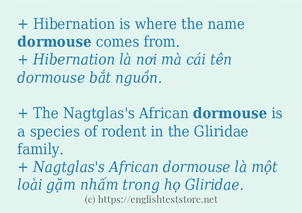 Cách dùng và câu ví dụ của từ dormouse