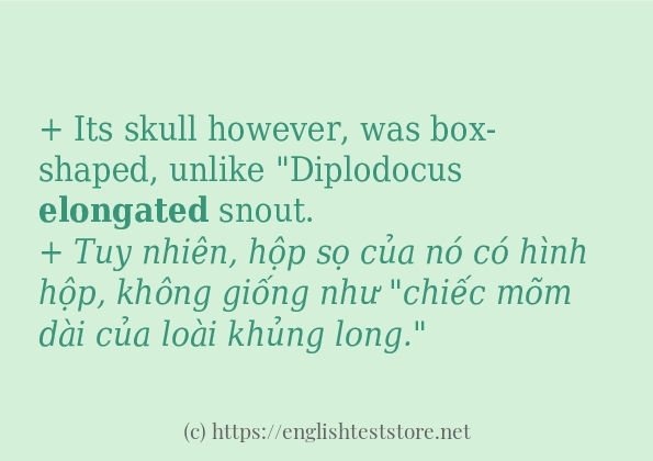 Cách dùng và câu ví dụ của từ elongated