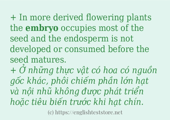 Cách dùng và câu ví dụ của từ embryo