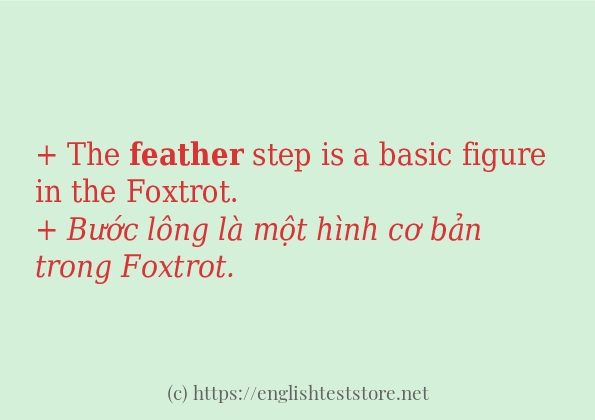 Cách dùng và câu ví dụ của từ feather