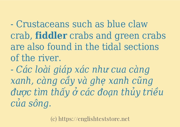 Cách dùng và câu ví dụ của từ fiddler