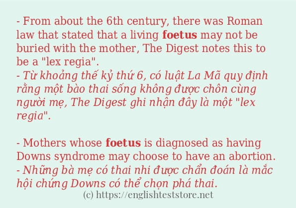 Cách dùng và câu ví dụ của từ foetus