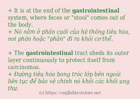 Cách dùng và câu ví dụ của từ gastrointestinal
