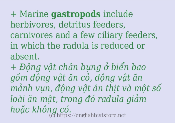 Cách dùng và câu ví dụ của từ gastropods Cách dùng và câu ví dụ của từ gastropods