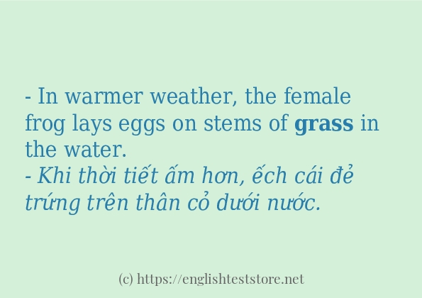 Cách dùng và câu ví dụ của từ grass