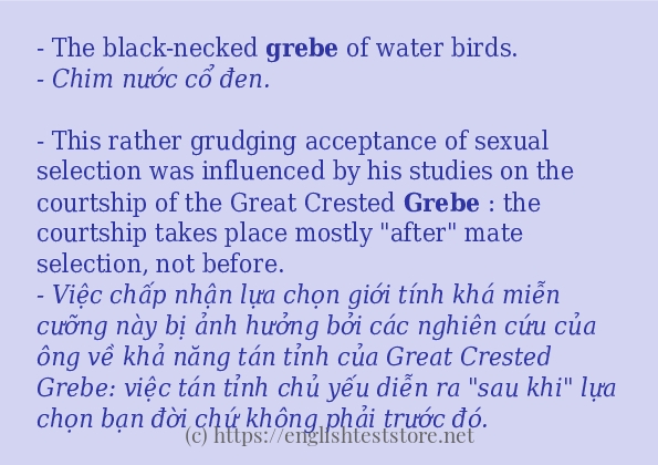 Cách dùng và câu ví dụ của từ grebe