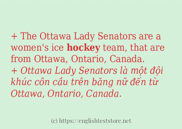 Cách dùng và câu ví dụ của từ hockey