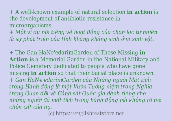 Cách dùng và câu ví dụ của từ in action Cách dùng và câu ví dụ của từ in action