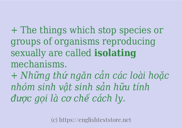 Cách dùng và câu ví dụ của từ isolating