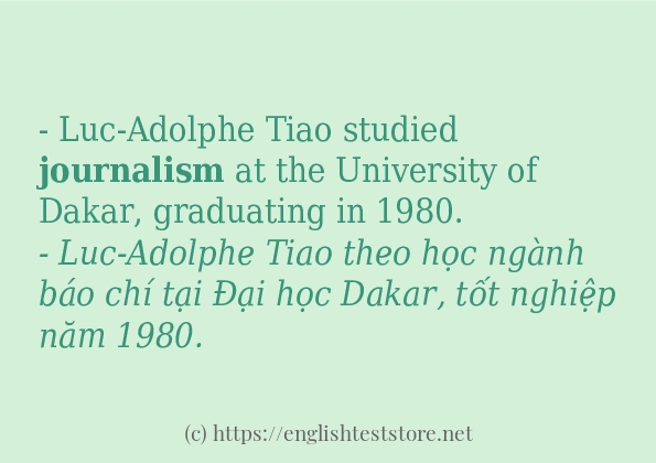 Cách dùng và câu ví dụ của từ journalism