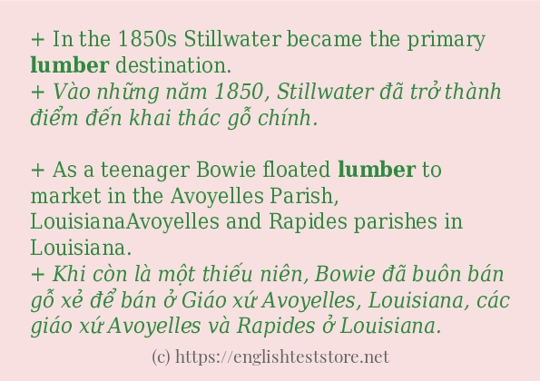 Cách dùng và câu ví dụ của từ lumber