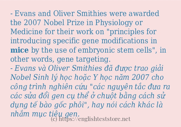 Cách dùng và câu ví dụ của từ mice