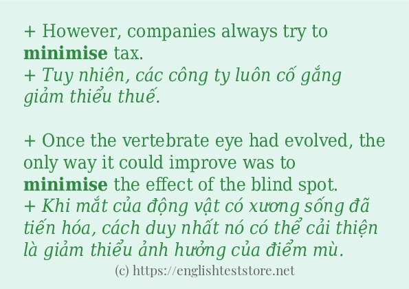 Cách dùng và câu ví dụ của từ minimise