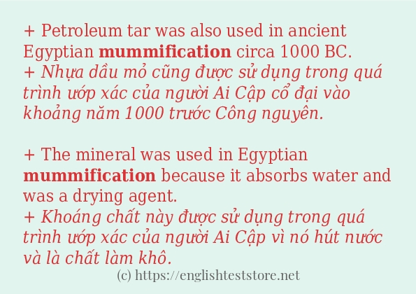 Cách dùng và câu ví dụ của từ mummification
