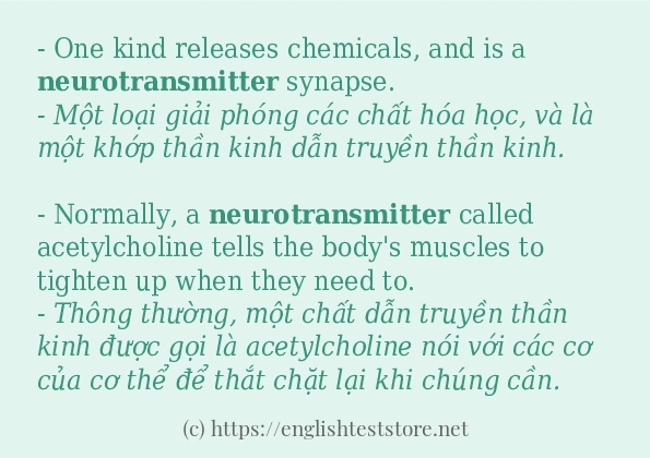 Cách dùng và câu ví dụ của từ neurotransmitter