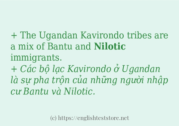 Cách dùng và câu ví dụ của từ nilotic