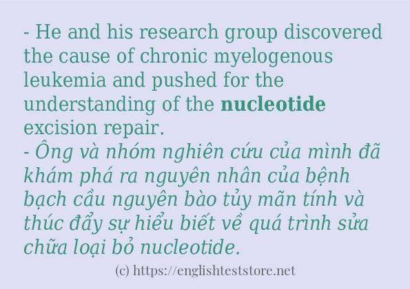 Cách dùng và câu ví dụ của từ nucleotide