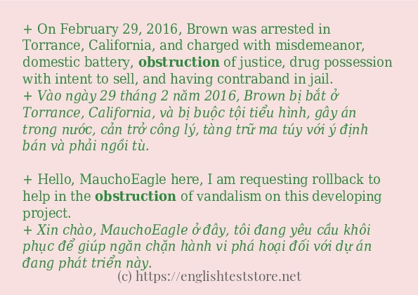 Cách dùng và câu ví dụ của từ obstruction