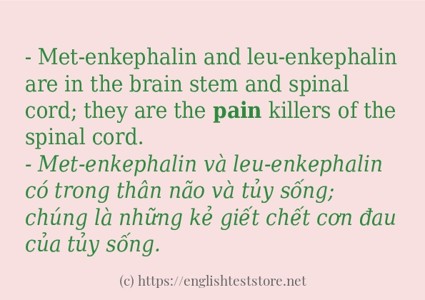 Cách dùng và câu ví dụ của từ pain