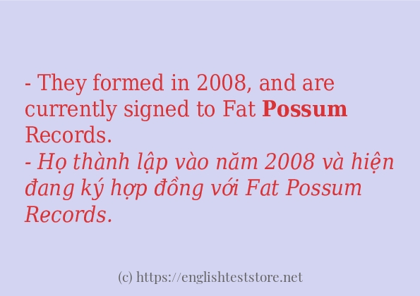 Cách dùng và câu ví dụ của từ possum