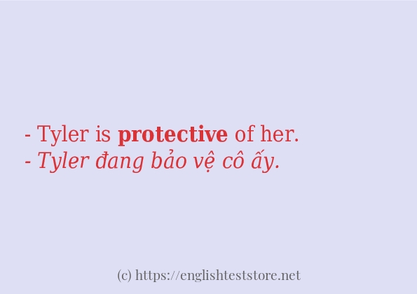 Cách dùng và câu ví dụ của từ protective Cách dùng và câu ví dụ của từ protective
