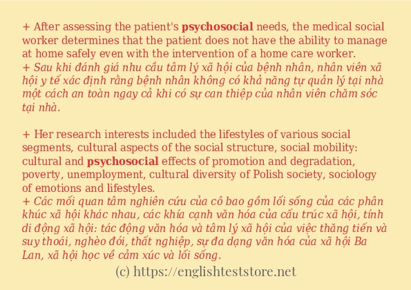 Cách dùng và câu ví dụ của từ psychosocial Cách dùng và câu ví dụ của từ psychosocial