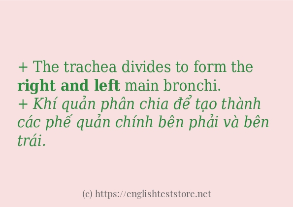 Cách dùng và câu ví dụ của từ right and left