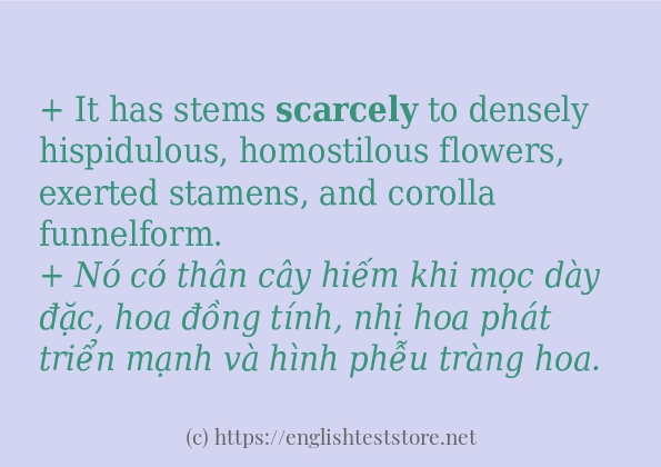 Cách dùng và câu ví dụ của từ scarcely