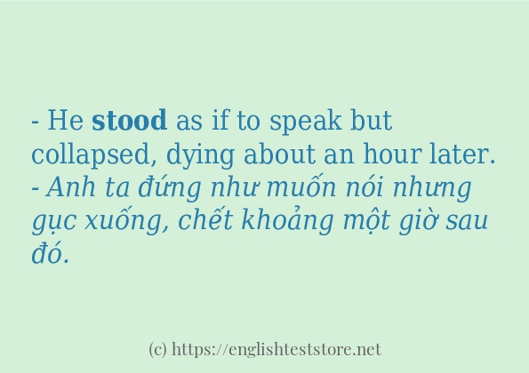 Cách dùng và câu ví dụ của từ stood Cách dùng và câu ví dụ của từ stood