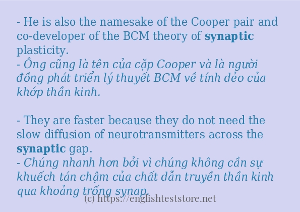 Cách dùng và câu ví dụ của từ synaptic