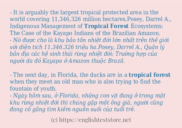 Cách dùng và câu ví dụ của từ tropical forest