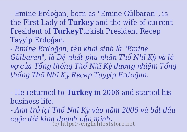 Cách dùng và câu ví dụ của từ turkey Cách dùng và câu ví dụ của từ turkey