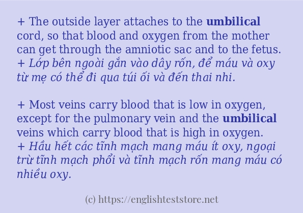 Cách dùng và câu ví dụ của từ umbilical