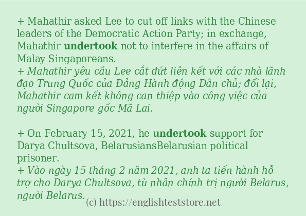 Cách dùng và câu ví dụ của từ undertook