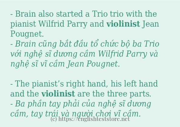 Cách dùng và câu ví dụ của từ violinist Cách dùng và câu ví dụ của từ violinist