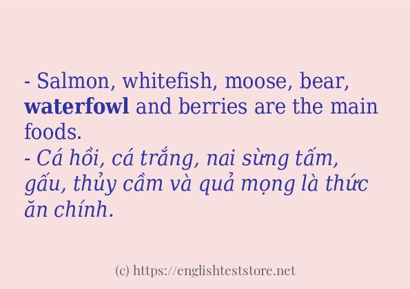 Cách dùng và câu ví dụ của từ waterfowl