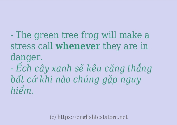 Cách dùng và câu ví dụ của từ whenever Cách dùng và câu ví dụ của từ whenever