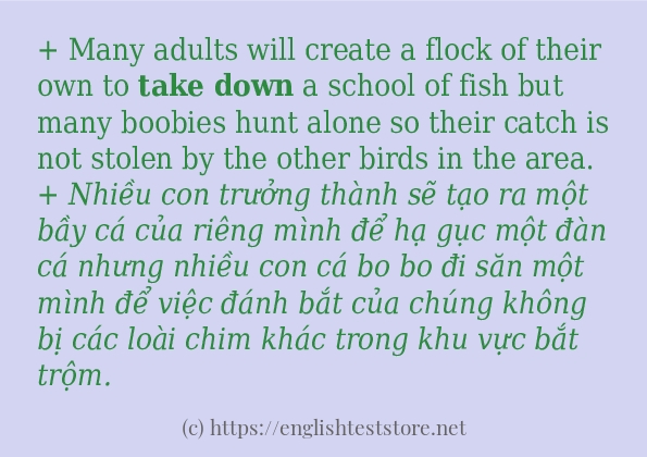 Cách sử dụng và câu ví dụ của từ Take down