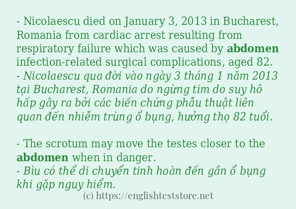 Cách sử dụng và câu ví dụ của từ abdomen