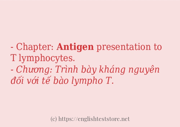 Cách sử dụng và câu ví dụ của từ antigen