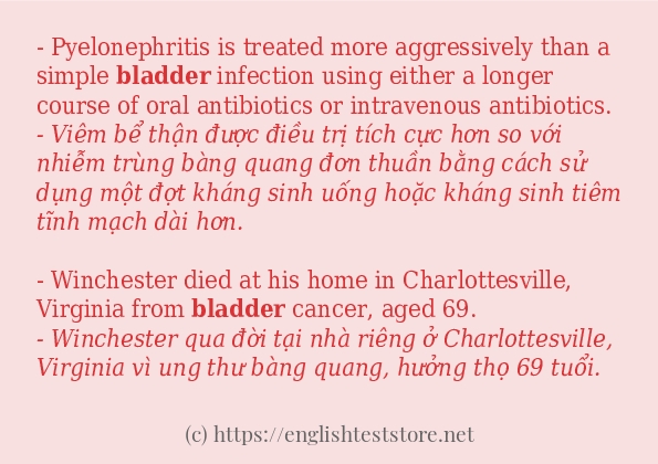 Cách sử dụng và câu ví dụ của từ bladder