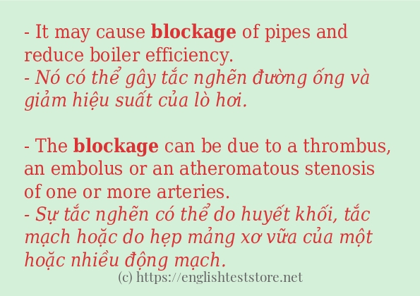 Cách sử dụng và câu ví dụ của từ blockage