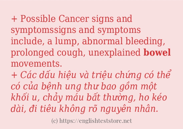 Cách sử dụng và câu ví dụ của từ bowel