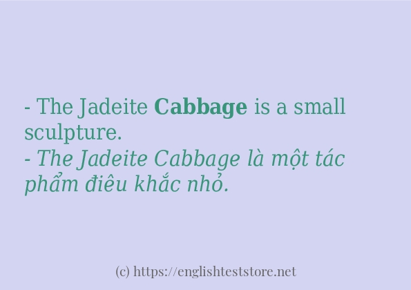 Cách sử dụng và câu ví dụ của từ cabbage
