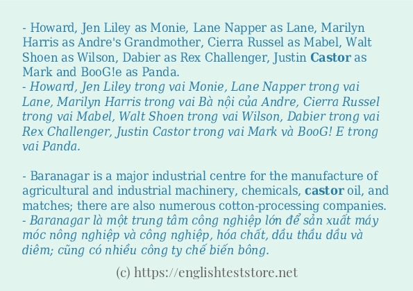 Cách sử dụng và câu ví dụ của từ castor