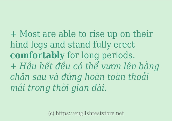 Cách sử dụng và câu ví dụ của từ comfortably