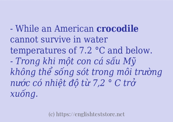 Cách sử dụng và câu ví dụ của từ crocodile