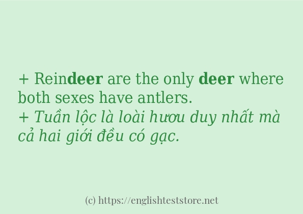 Cách sử dụng và câu ví dụ của từ deer