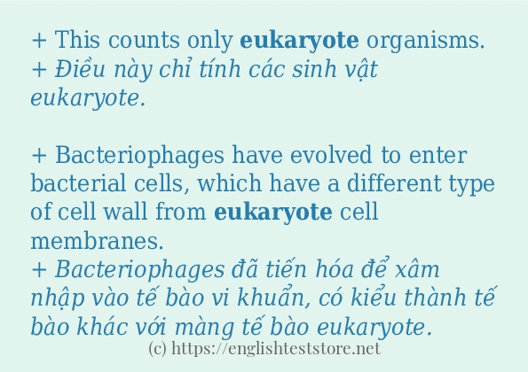 Cách sử dụng và câu ví dụ của từ eukaryote Cách sử dụng và câu ví dụ của từ eukaryote