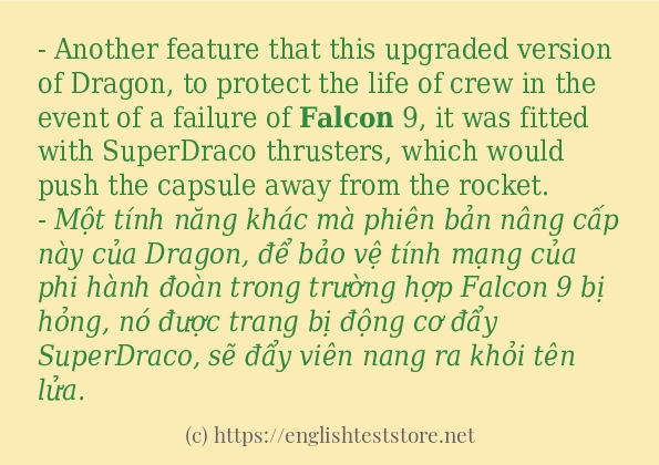 Cách sử dụng và câu ví dụ của từ falcon Cách sử dụng và câu ví dụ của từ falcon